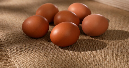 boiled chicken eggs on burlap. group of fresh eggs. farm product closeup. natural healthy food. rustic still life. breakfast ingredients on a sunny day. 