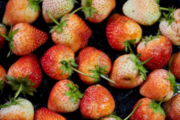 Close-up view of fresh strawberry 