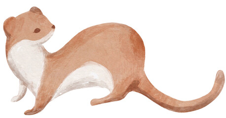 Illustration of cute weasel - 588316226