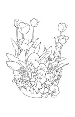 チューリップの寄せ植え鉢の線画