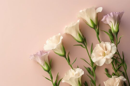  a group of white and pink flowers on a pink background with green stems and leaves in the center of the picture, with a pink background with a pink wall.  generative ai