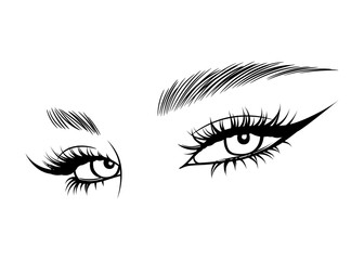 Vector Hand drawn beautiful female eyes with long black eyelashes and brows close up. - 588319609
