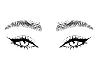 Vector Hand drawn beautiful female eyes with long black eyelashes and brows close up. - 588319849