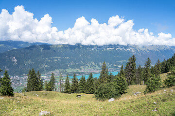 View from the Schynige Platte, Switzerland
