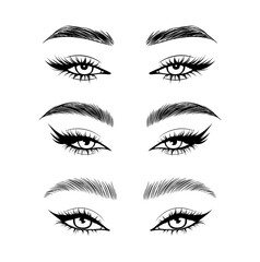 Vector set beautiful female eyes with long black eyelashes and brows close up.
