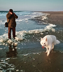 Mann im Urlaub fotografiert mit einer Digitalkamera einen weißen Hund im Watt während er im...