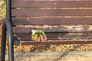 Bouquet of beautiful pink tulips lies on wooden bench in spring city park. First date concept. Close-up, selective focus