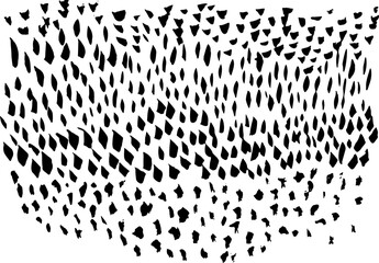 Dry Brush Strokes Grunge Texture