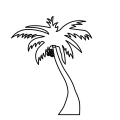 Obraz premium palm tree icon on a white background, vector illustration