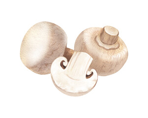 Fototapeta na wymiar Watercolor group fresh champignon mushrooms. Hand-drawn illustration isolated on white background. Perfect concept for healthy food, design packing, concept for cafe, restaurant element, recipe book.