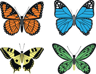 Obraz na płótnie Canvas Bright types of butterflies, vector illustration