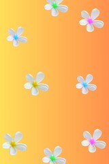 abstract background with flowers on a colored background, vector illustration.