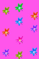 abstract background with flowers on a colored background, vector illustration.