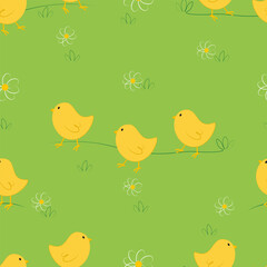 Vector seamless pattern with little yellow chicks characters in green grass in cartoon style. Digital seamless Easter design with chicks