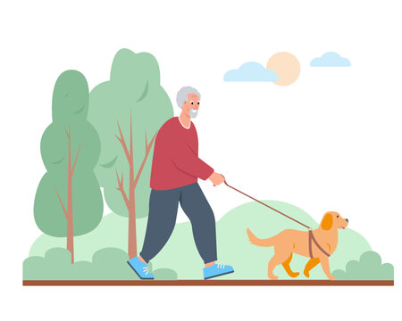 Elderly man walking with dog. Senior or old people active and healthy lifestyle concept concept. Vector cartoon or flat illustration.