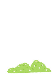 Green bush with white flower