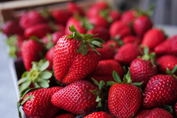 Delicious big ripe red strawberries in wooden box. One berry on the top