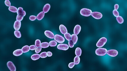 Rhodotorula fungi, 3D illustration. Pigment producing yeasts, cause infections in immunocompromised patients