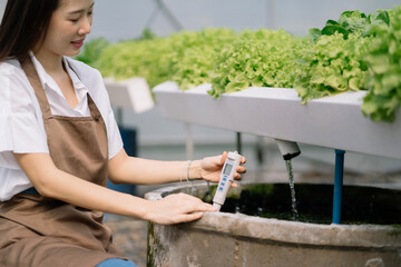 Farmer woman check salad vegetable growth for control water, light, temperature in hydroponic plant system farm in the greenhouse.