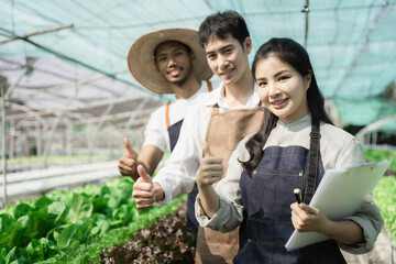 Smiling gardener working in Hydroponics greenhouse farm garden in the morning.