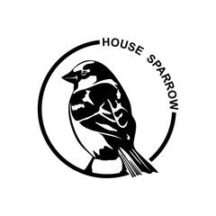House sparrow circle logo design. Bird symbol in minimal style. House sparrow bird sign isolated on white background. Vector illustration