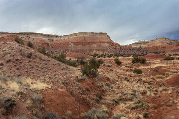 Valley in red rock canyon on overcast day