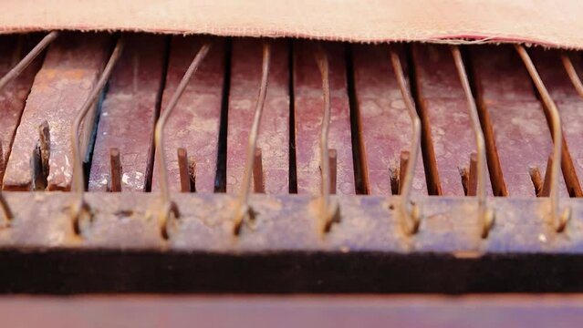 local artist plying reed organ colse up shot at day from different angle