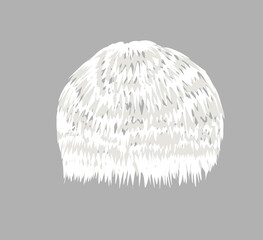 vector illustration of Lion's mane mushroom (Hericium erinaceus), an edible and medicinal plant. © Khoirul yaqin