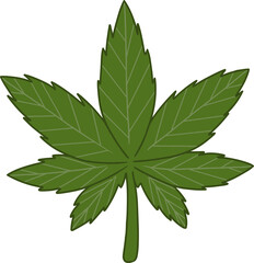 Green leaf of cannabis. Hand drawing PNG transparent.