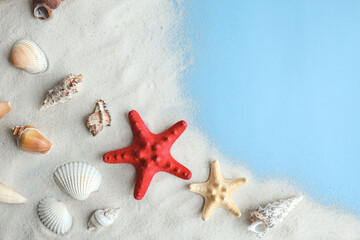 Fototapeta na wymiar Seashells, Starfish and corals on blue background, top view, copy space. Summer vacation or holiday concept