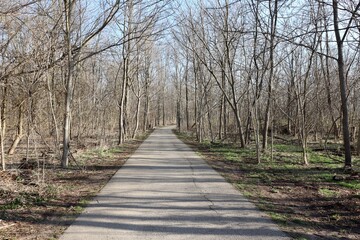 The long empty sidewalk in the park.