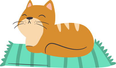 Cat Lying On Mat