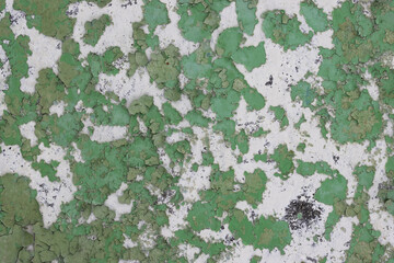 Green peeling paint on the wall. Old concrete wall with cracked flaking paint. Weathered rough...