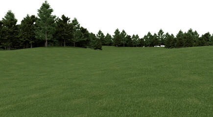 Fototapeta na wymiar Realistic grass hill and forest tree line. 3d rendering of isolated objects.