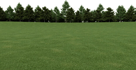 Obraz premium Realistic grass hill and forest tree line. 3d rendering of isolated objects.