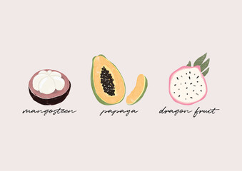 Obraz premium summer tropical fruit mangosteen, papaya, dragon fruit