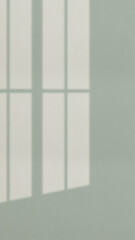 The light from the window shines on the wall