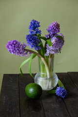 Primrose spring flowers in a glass vase on a green background. Gentle and minimalistic spring primrose still life.