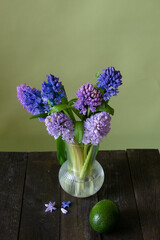 Primrose spring flowers in a glass vase on a green background. Gentle and minimalistic spring primrose still life.
