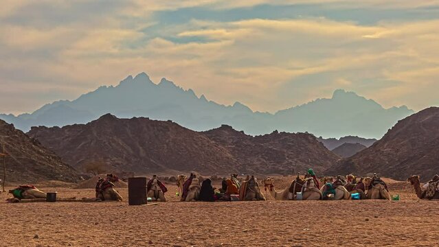 Nomad people and camels rest in front of majestic mountain panorama, timelapse