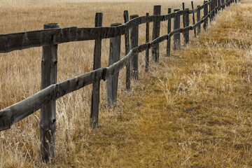 Old wooden fence on yellow rural field in countryside in autumn