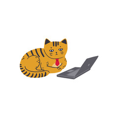 A sad cat in a red tie sits in front of a laptop. Illustration on transparent background