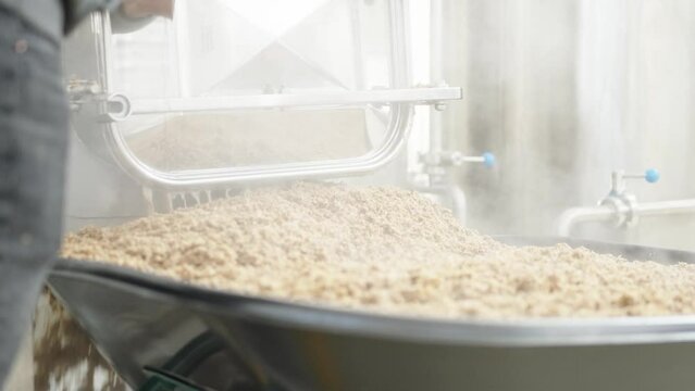 pouring out the residual malt from the boiler in the brewery during beer brewing