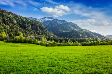 Fototapeta na wymiar Alpine meadow in Bavarian Alps. Bavaria, Germany