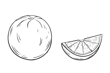 Orange and slice. Black and white vector illustration, sketch, pen and ink, freehand line drawing for logos, patterns, food design. On a white isolated background