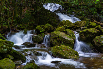 Fototapeta premium 践祚の滝の風景（薩摩川内市）