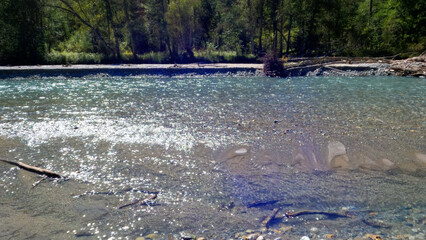 small clear cold stream with pebble stones in Arkhyz mountains - photo of nature