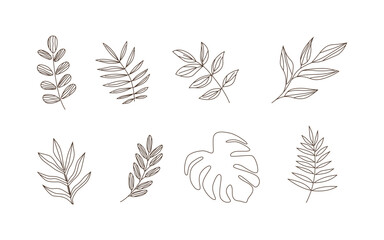 Hand drawn floral ornamental element