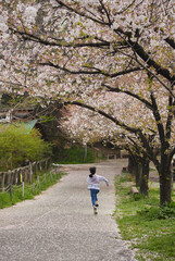 満開の桜と元気で走って遊んでいる子供の様子