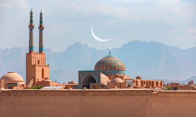 Historic City of Yazd with famous wind towers - YAZD, IRAN